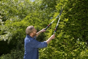 Foarfeca de gradina Gardena TeleCut, 23 cm, manere telescopice din aluminiu - Img 3