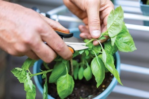 Foarfeca pentru ierburi Fiskars SP-220, 12,9 cm, otel inoxidabil, manere confortabile - Img 2