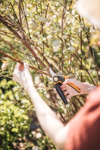 Foarfece de taiere Fiskars Bypass M, seria X PowerGear, P921, cu maner de rulare, pentru ramuri si crengute proaspete, acoperite antiaderente, lame din otel inoxidabil, lungime: 20,1 cm, negru/portocaliu, 1057173 - Img 7