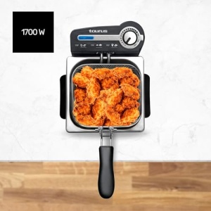 Friteuza Taurus Professional 2 Plus 1700W Capacitate 2L Filtru Ulei Argintiu - Img 2