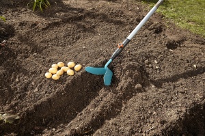 Gardena combisystem Haupfelpflug GARDINO 3118-20 Fara efort pentru legume si cartofi - Img 5