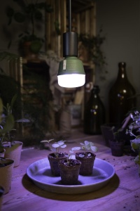 Lampa LED pentru plante Osram Star Grow T80, 20W, E27, lumina alba - Img 6