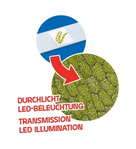 Mikroscop Bresser Junior 40x-640x cu iluminare LED, transportabil si accesorii incluse - Img 9
