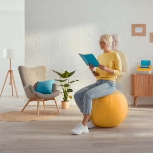 Minge de exercitii Leitz Ergo Cosy 65 cm, culoare gri, cu pompa si husa detasabila - Img 8
