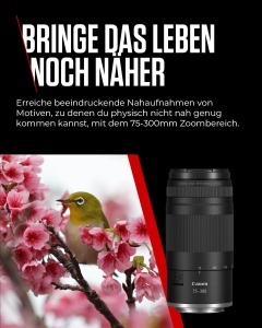 Obiectiv Telezoom Canon RF 75-300mm F4-5.6, Autofocus, Usor, Compact - Img 3
