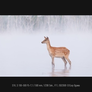 Obiectiv telezoom Panasonic LUMIX S-R100500E 100-500 mm F5-7.1, waterproof, negru - Img 2