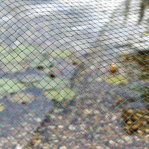 Plasa de protectie pentru iaz OASE Aquanet 53753, 6x10 m, verde, rezistenta la intemperii - Img 2