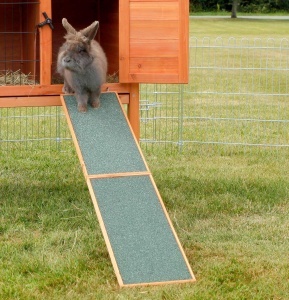 Rampe din Lemn TRIXIE 20 50 cm pentru Micile Animalute - Img 3