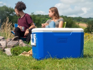 Rucsac racitor Coleman Poly-Lite 48 QT, 46 litri, albastru - Img 8