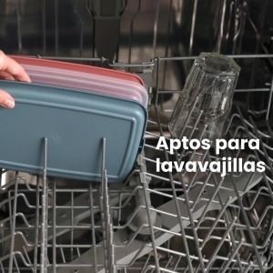Set 4 Capace pentru Mezeluri IBILI, 24,8 x 14,4 x 3,3 cm, Plastic BPA-Free, Culori Diverse - Img 8
