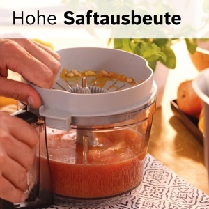 Set accesorii pentru robot de bucatarie Bosch VeggieLove Plus MUZ9VLP1, multifunctional, 3 discuri, storcator citrice - Img 5