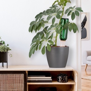 Set de 4 Ghiulele de Udat Relaxdays pentru Flori si Plante, TerracottaAlb - Img 2