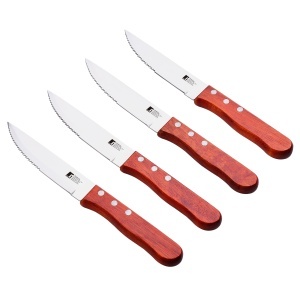 Set de cutite pentru gratar Bergner din otel inoxidabil, 4 piese, design ergonomic