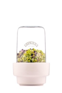 Set pentru germinare KILNER cu sticla de 500 ml, suport ceramic si design multi-nivel