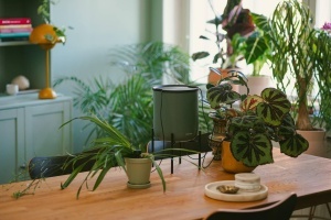 Sistem de autoirigare Fiskars Urban Plant Care, 4,4L, 4 conuri ceramice, verdenegru - Img 5