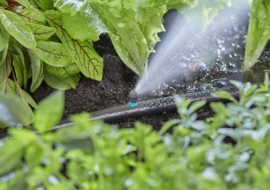 Sistem de Irigare Micro-Drip Gardena, Duza de Pulverizare pentru Suprafate Lungi, 5 Bucati - Img 5