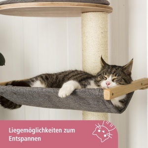 Stalp de zgariat de perete pentru animale de companie Kerbl Dolomite Tofana XL stalp de zgariat pentru pisici gri 70x45x185cm pentru mai multe pisici  - Img 4