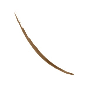 Tus semi-permanent pentru sprancene Revlon ColorStay, 3 zile, nuanta brun deschis - Img 3