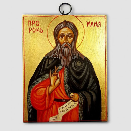 Икона - Св. пророк Илия 11/14