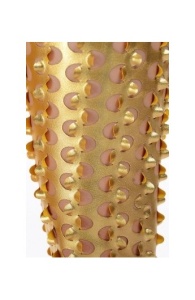 Colanti Fish Gold - Img 4