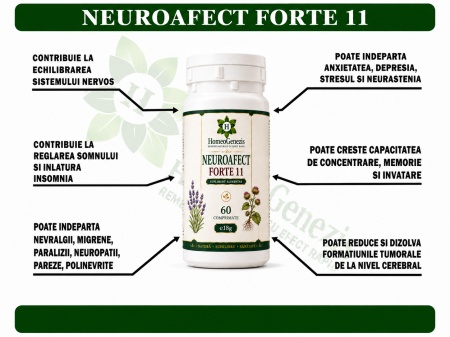Nefrocisturet Forte 63 - 60 comp Data expirarii: 2029 - Img 2