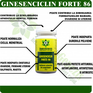 Ginesenciclin Forte 86 - 60 comp Data expirarii: 2026 STOC LIMITAT - Img 2