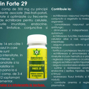 Integroadaptin Forte 29 - 60 comp Data expirarii: 26.12.2026 - Img 3