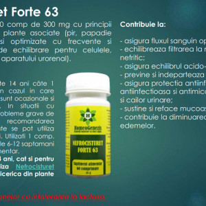 Nefrocisturet Forte 63 - 60 comp Data expirarii: 2026 - Img 3
