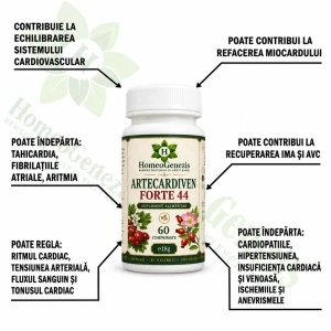 ARTECARDIVEN FORTE 44 – 60 comprimate - Img 2