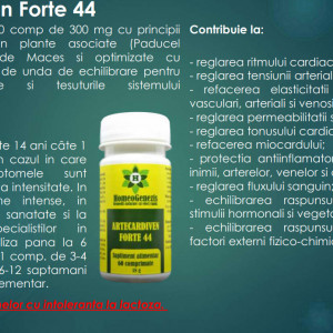 Artecardiven Forte 44 - 3 x 60 comp - Pachet Economic - Img 2
