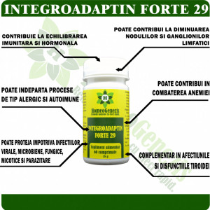 Integroadaptin Forte 29 - 60 comp Data expirarii: 26.12.2026 - Img 2