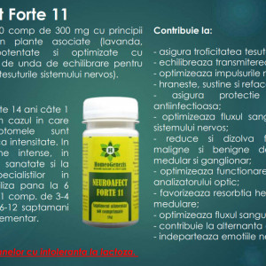 Neuroafect Forte 11 - 60 comp - Img 3