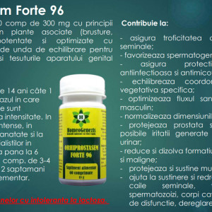 Orhiprostasem Forte 96 - 3 x 60 comp - Pachet Economic Data expirarii: 2026 - Img 2