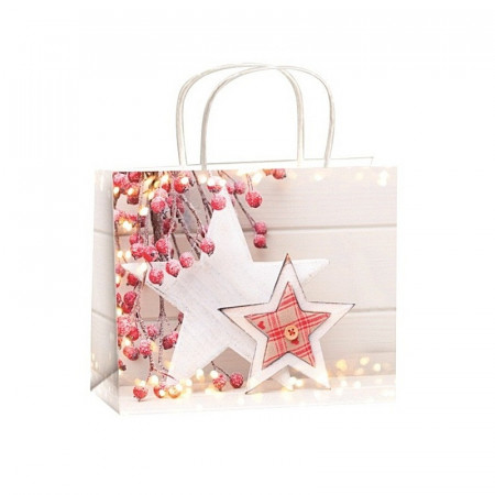Punga cadou din hartie pentru Craciun L 32 x 26 x 12.7 cm - stele cu lumini de Craciun