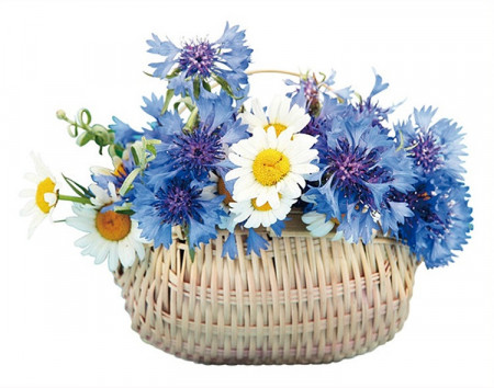 Sticker geam - aranjament floral in cos impletit, 42 x 30 cm