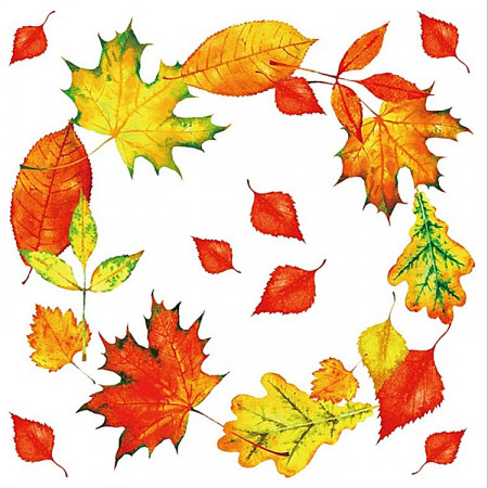 Sticker geam cu frunze colorate de toamna - coronita din frunze, 30 x 33.5 cm