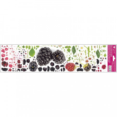 Sticker geam, orizontal - mure 64 x 15 cm