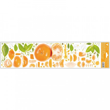 Sticker geam, orizontal - portocale, 64 x 15 cm