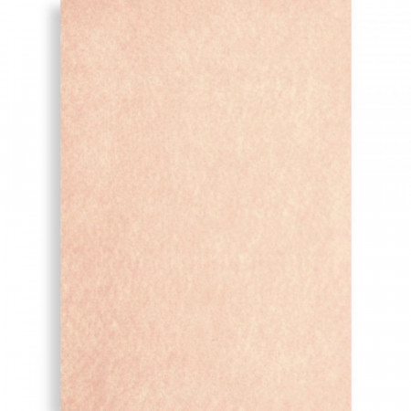 Coala A4 fetru semirigid 1mm grosime - Natur