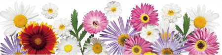 Sticker geam, orizontal - flori colorati, 64 x 15 cm
