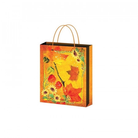 Punga cadou din hartie 15 x 12 x 5.5 cm - aspect de vara si toamna