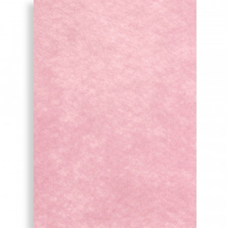 Coala A4 fetru semirigid 1mm grosime - Pink deschis
