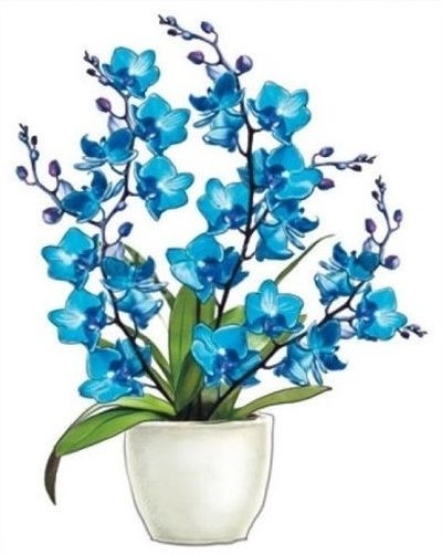 Sticker pentru geam, Orhidee albastra in ghiveci, 36 x 27 cm