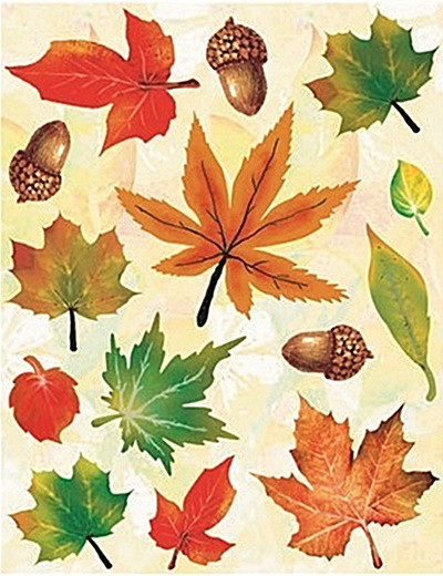 Sticker geam cu frunze de toamna - frunze si ghinda, 30 x 42 cm