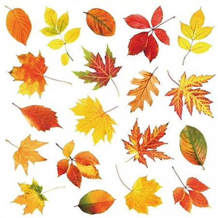 Sticker geam cu motive de toamna - frunze colorate, 30 x 42 cm