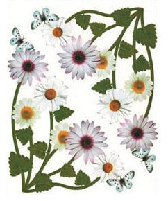 Sticker pentru geam: flori 2