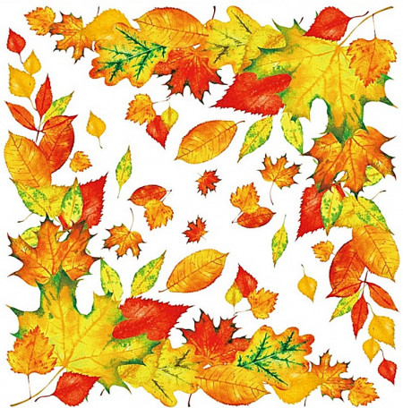 Sticker geam cu frunze colorate de toamna - pentru colt de geam, 30 x 33.5 cm