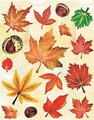 Sticker geam cu frunze de toamna - frunze si castane, 30 x 42 cm