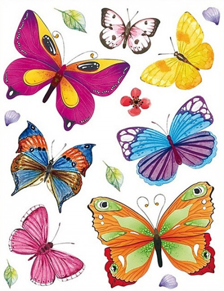 Sticker geam - fluturi colorati si petale, 42 x 30 cm