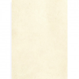 Coala fetru rigid 40 x 50 cm, 3 mm grosime - Sampanie